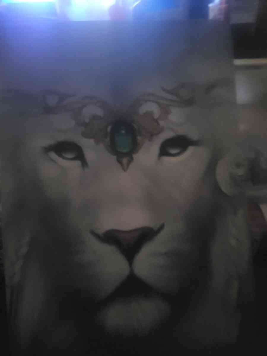 HP laptop and 2 android tablets