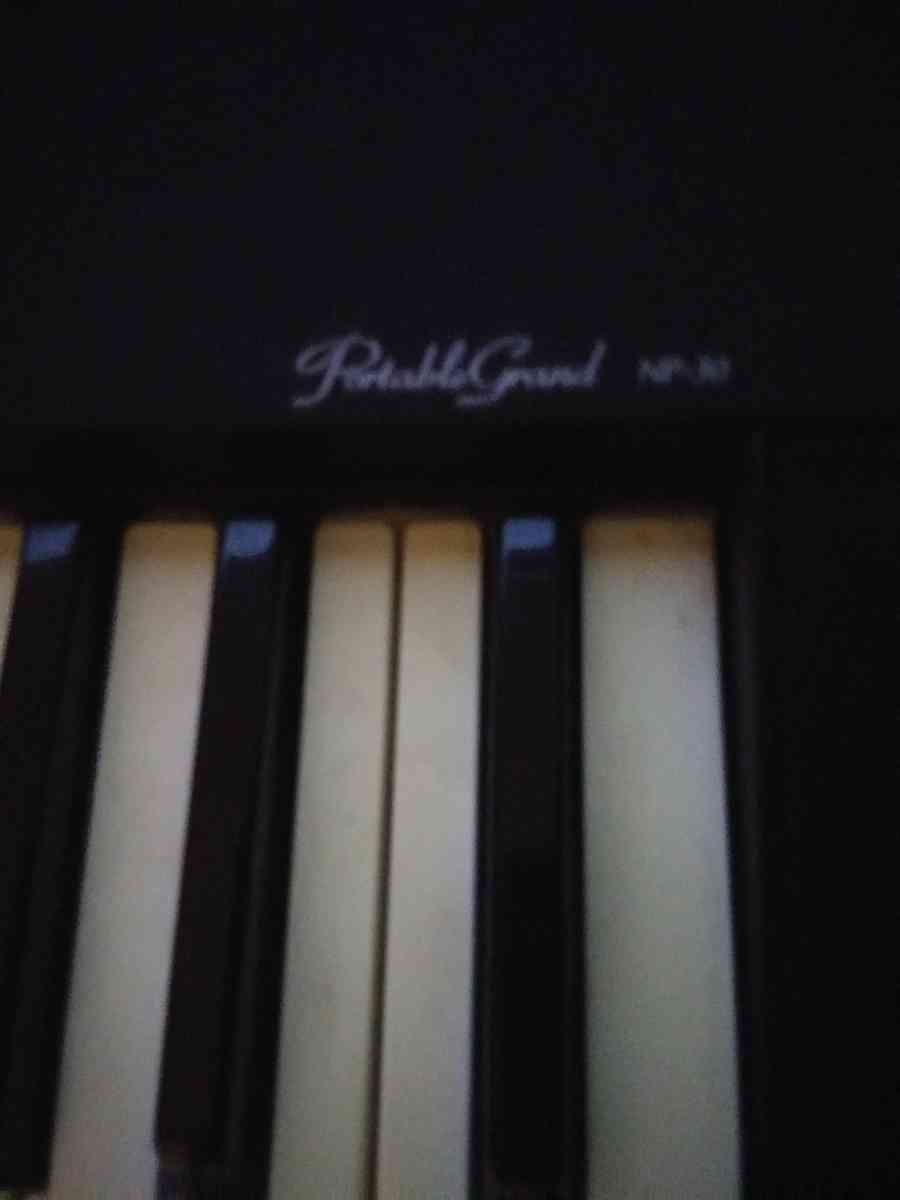 Yamaha portable grand nd 30