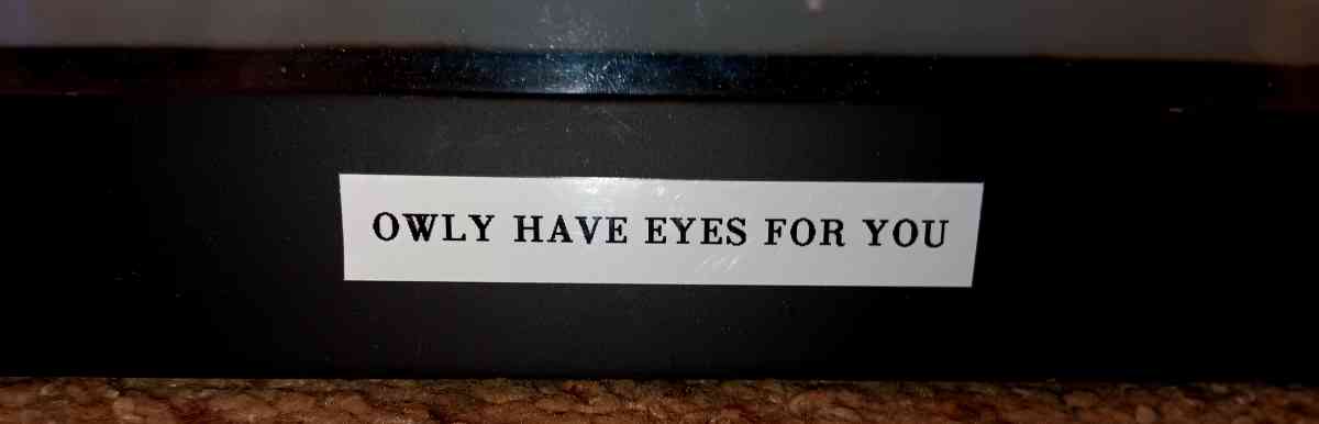 gorgeous owls painting  happy and bright