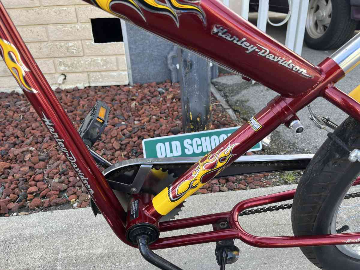Harley Davidson bike bicycle rare collector
