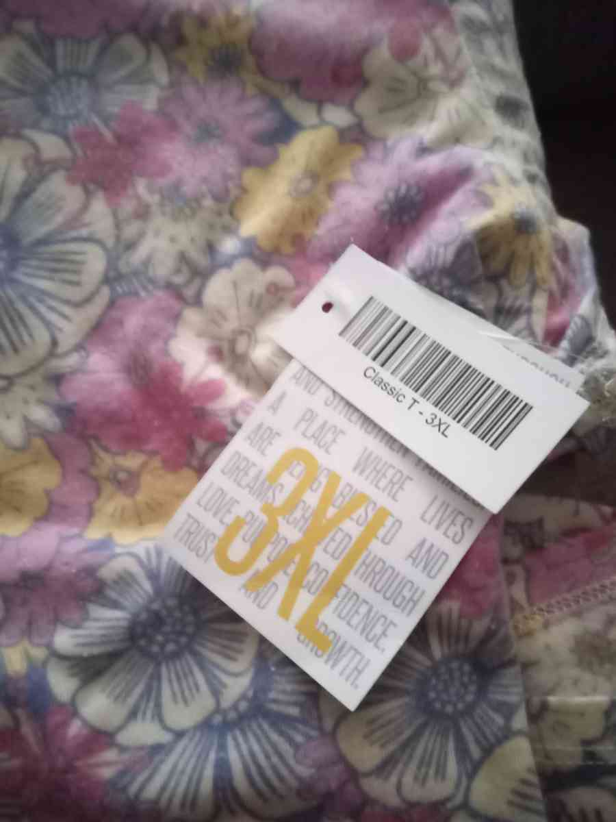 NWT 3XL LuLaRoe Cassic T and Madison Skirt outfit 35