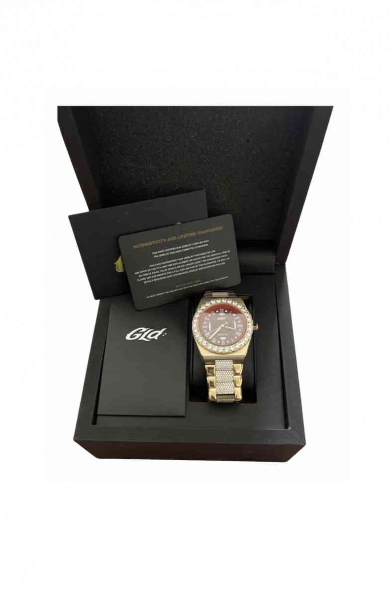 ALPAH ERA ICED OUT WATCH