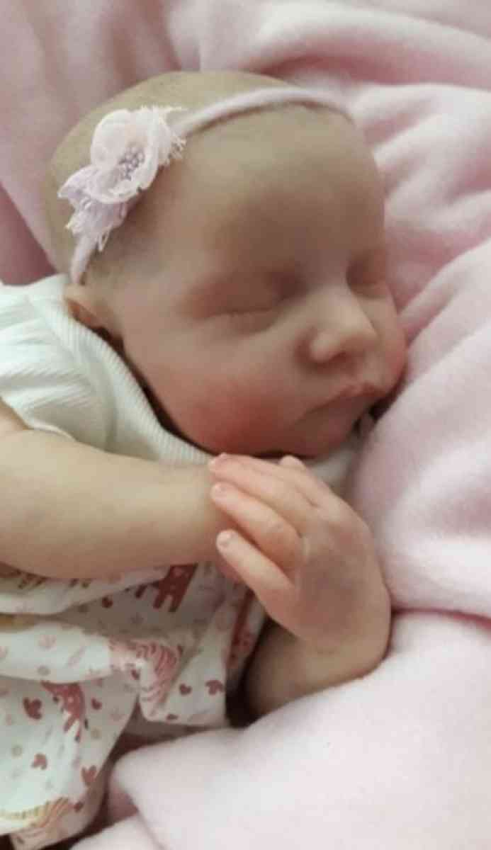 Levi By Bonnie Brown Reborn Doll
