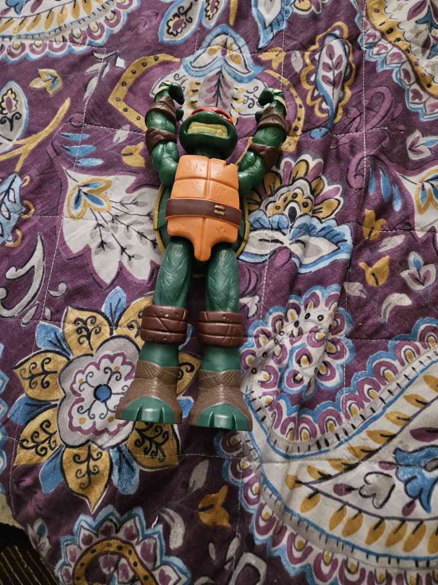 Teenage Mutan Turtle