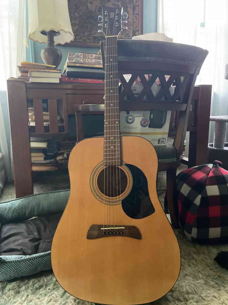 Acoustic guitar