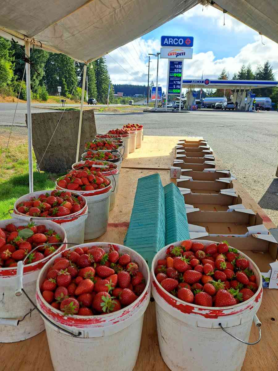 strawberries