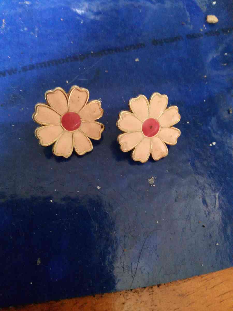 Vintage pair of enameled clip on earrings