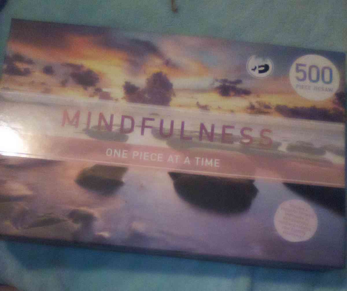 500 PC puzzle