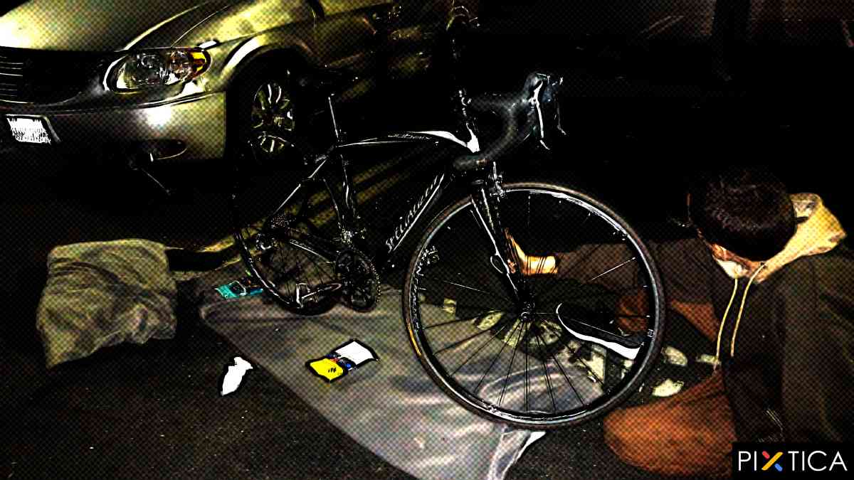 Specialized Roubaix Pro