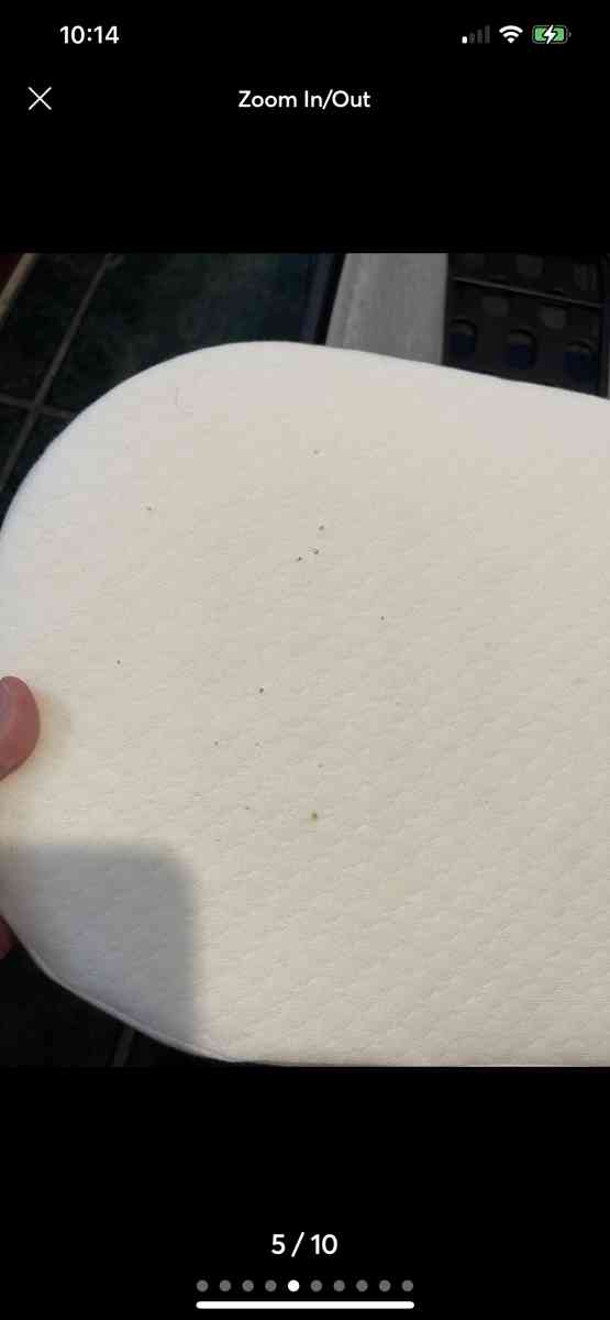 2021 Uppa baby bassinet