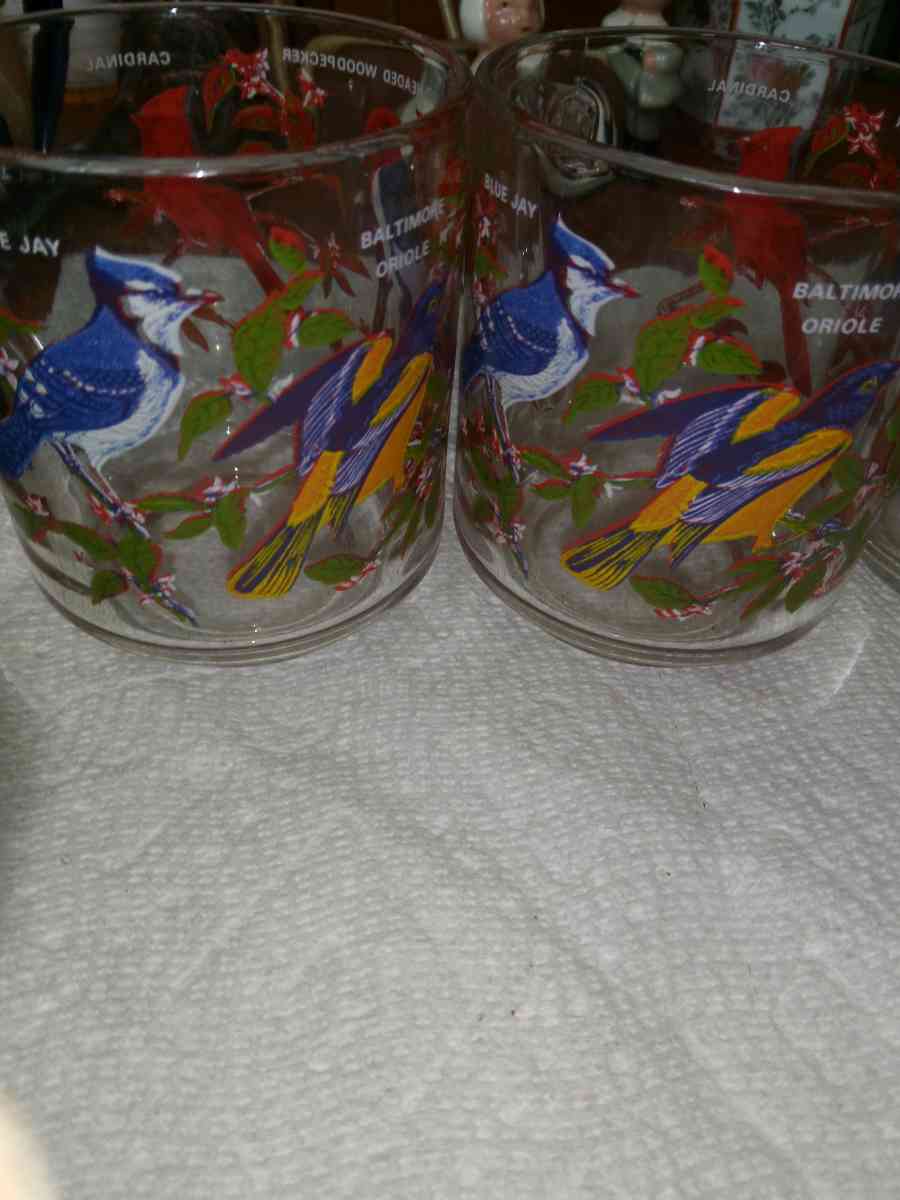 4 Arcorac Audubon Birds of America Mugs