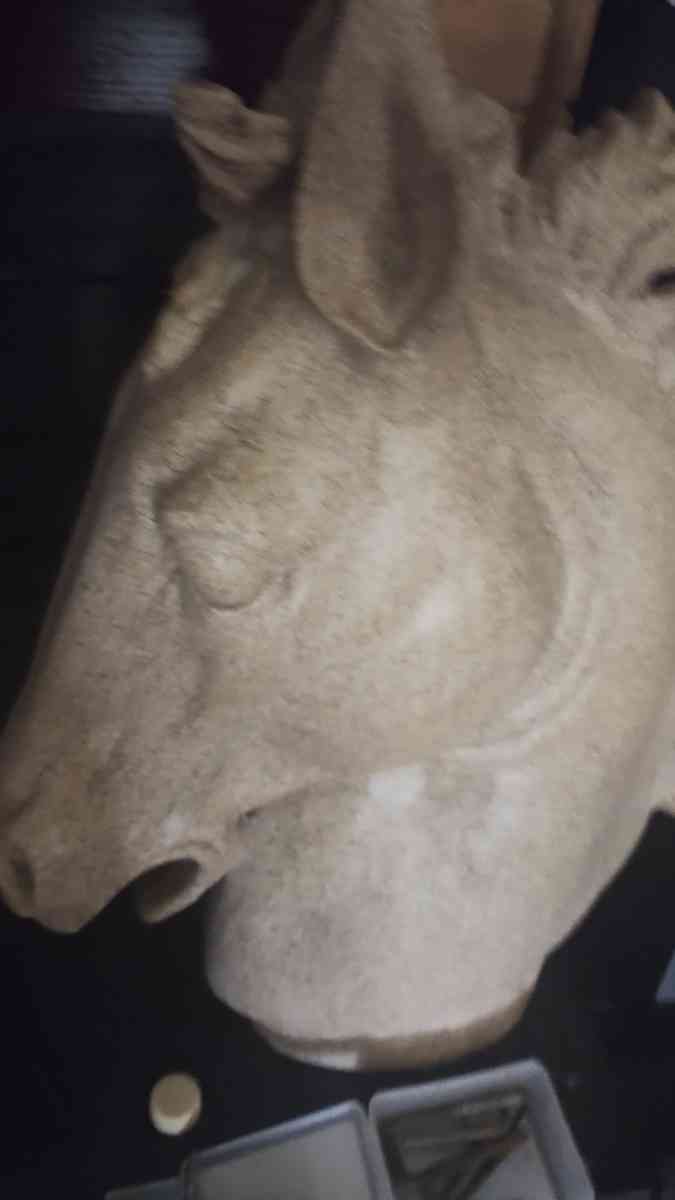 horse head