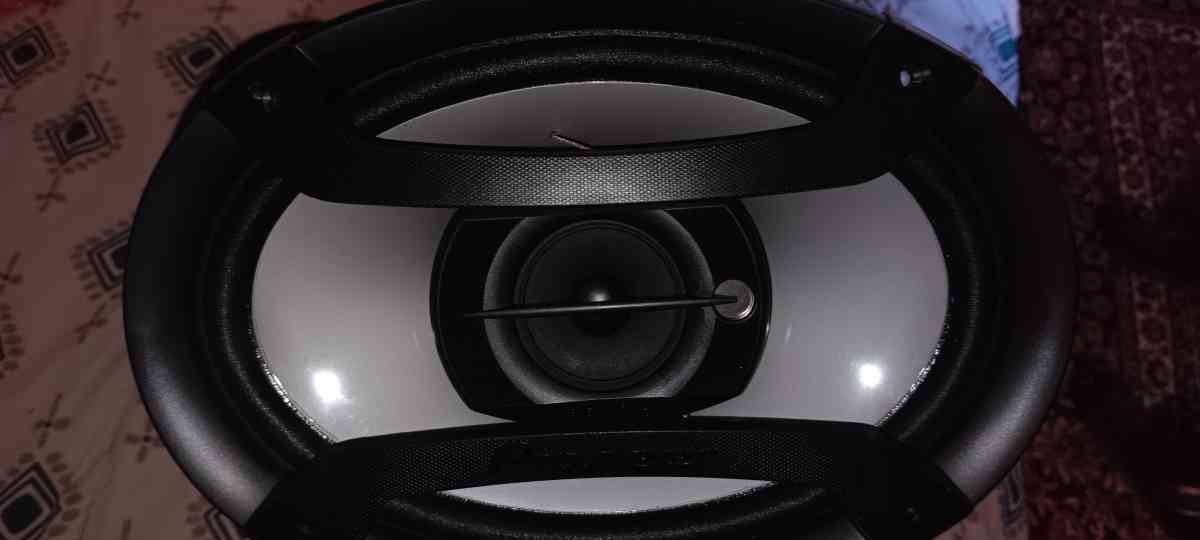 Pioneer speakers