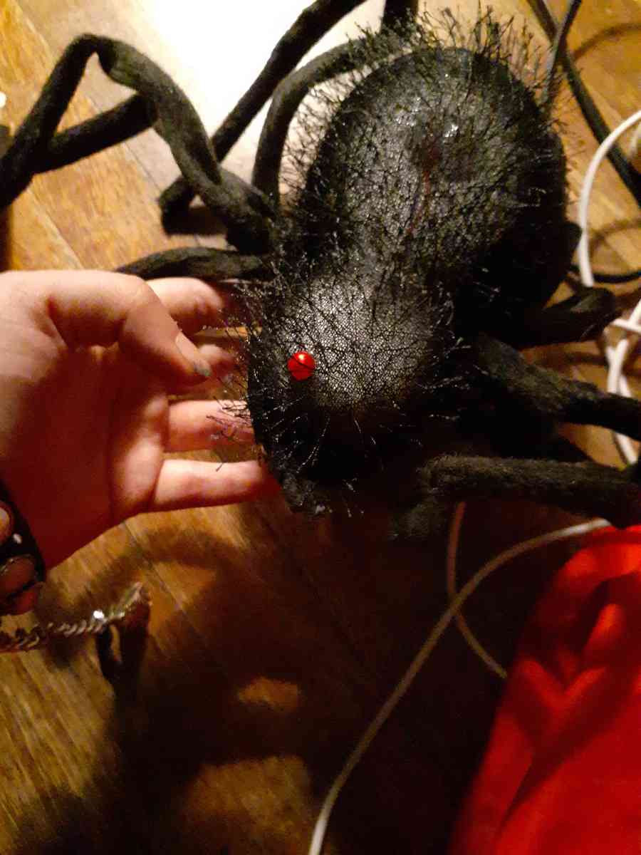 black spider decor for Halloween