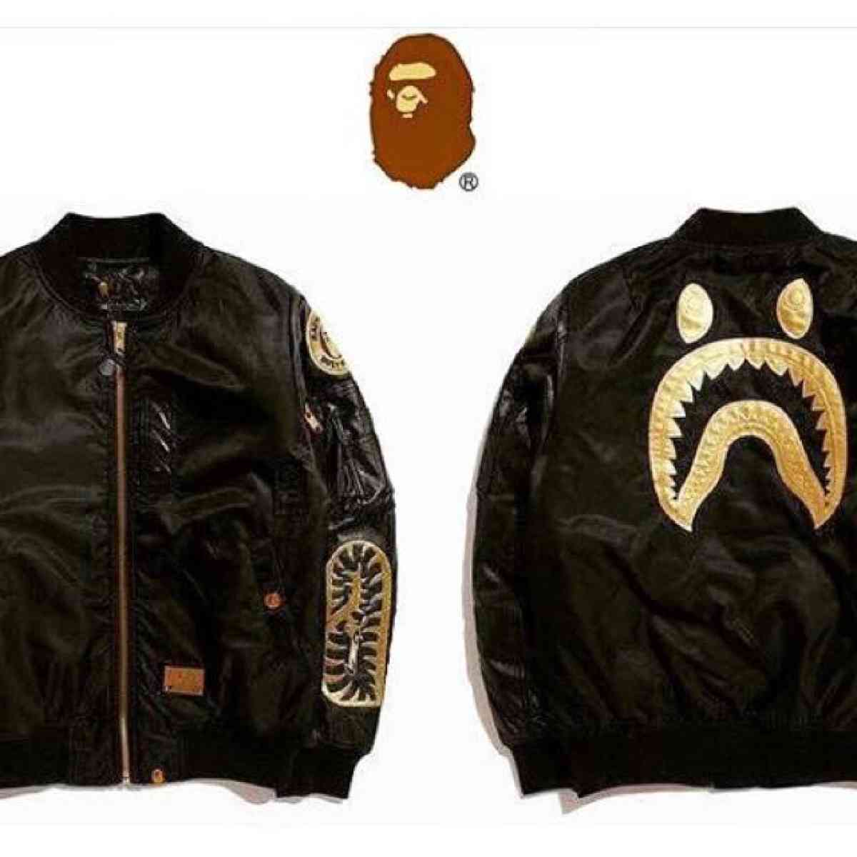 BAPE jacket Chris brown collab