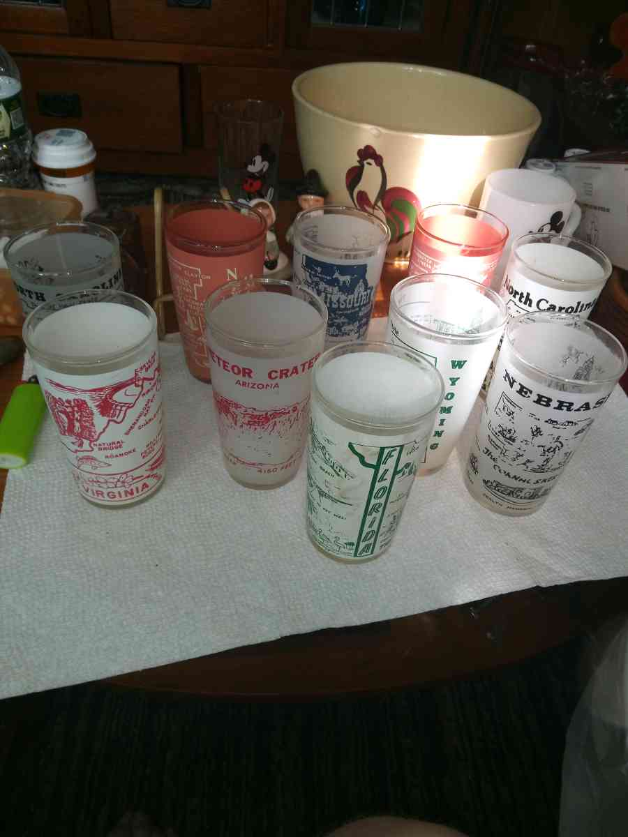 10 States Souvenir Glasses