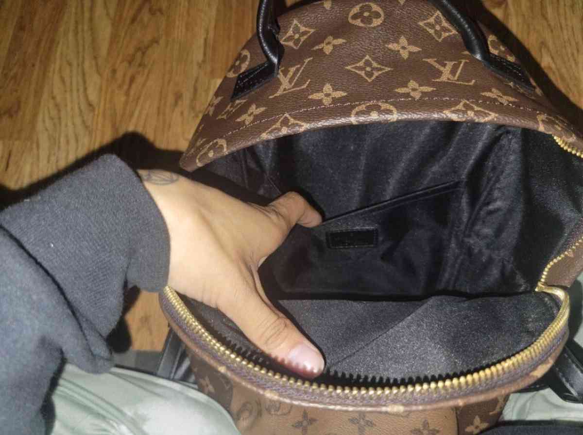 Louis Vuitton Palm Springs Mini