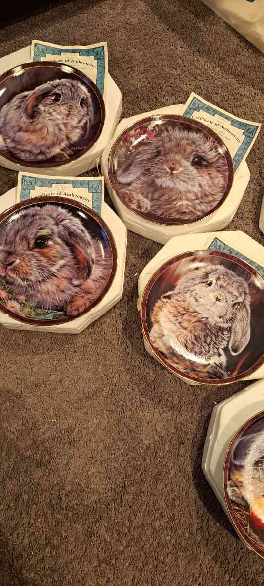 Bradford Exchange bunny tales limited edition plates