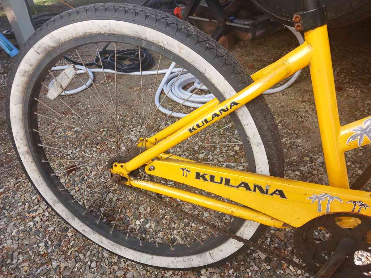Pacific Kulana lua Tandem bike