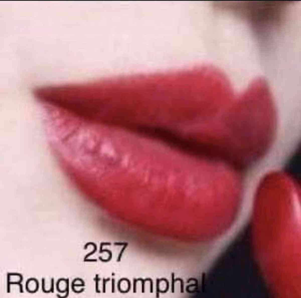 CHANEL ROUGE ALLURE VELVET LE LION DE 257