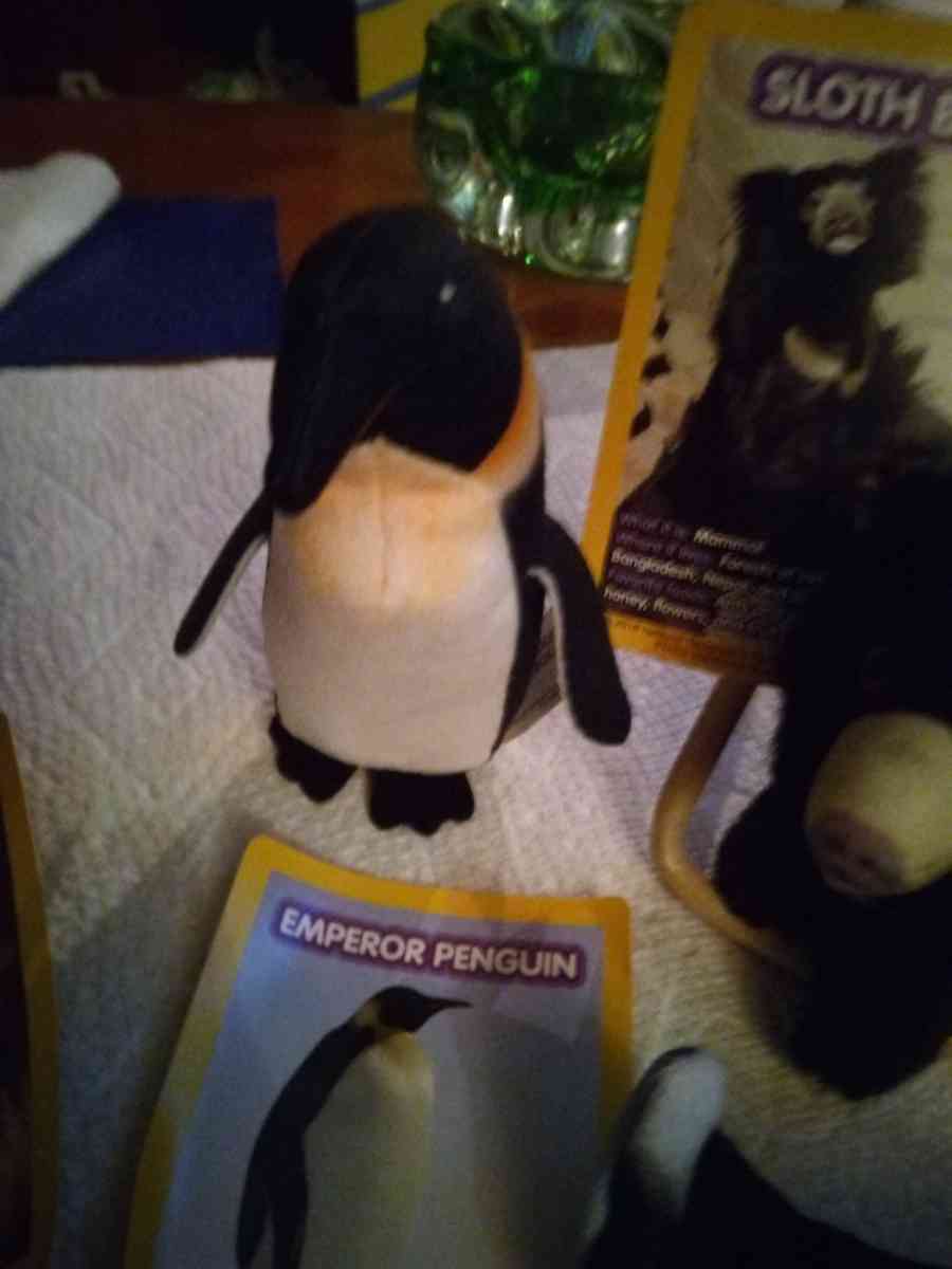 5 National Geographic Kids plush toys