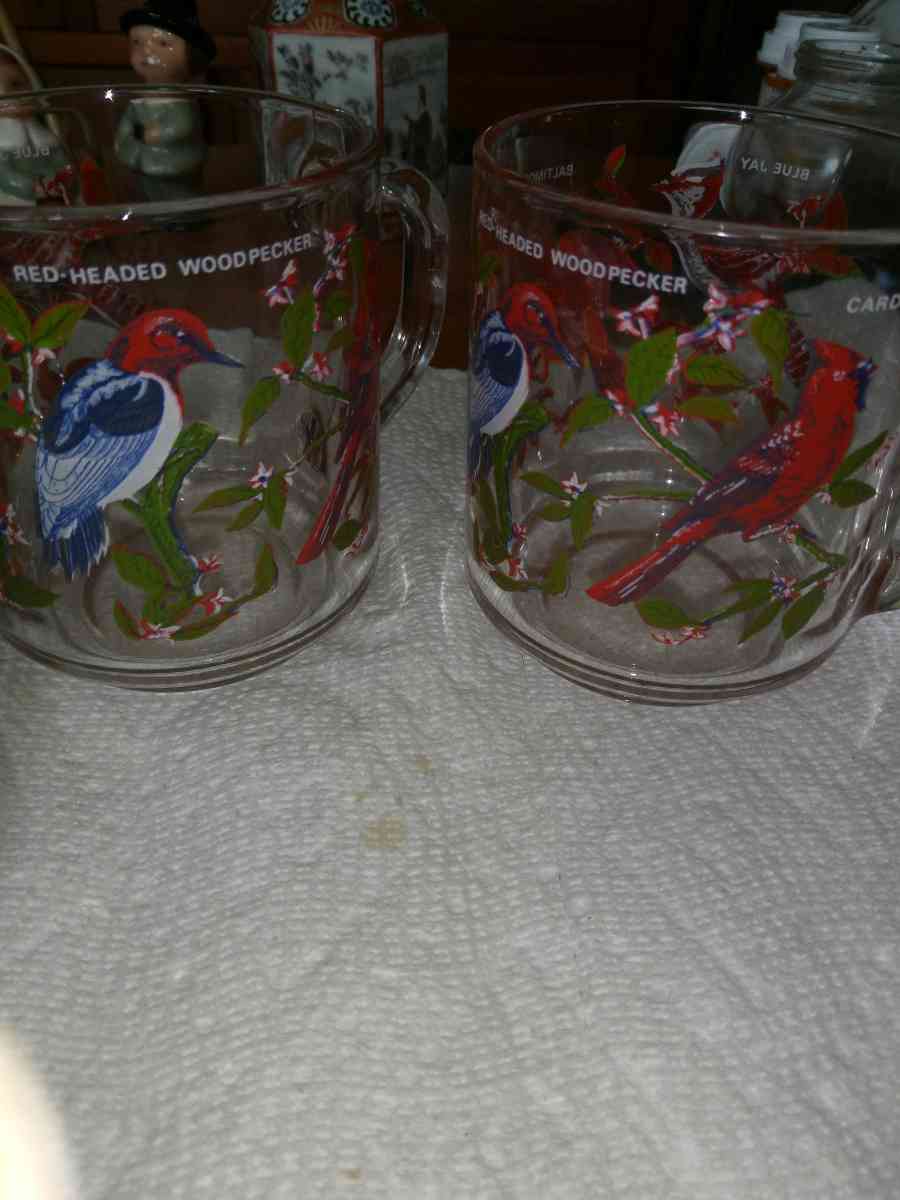 4 Arcorac Audubon Birds of America Mugs