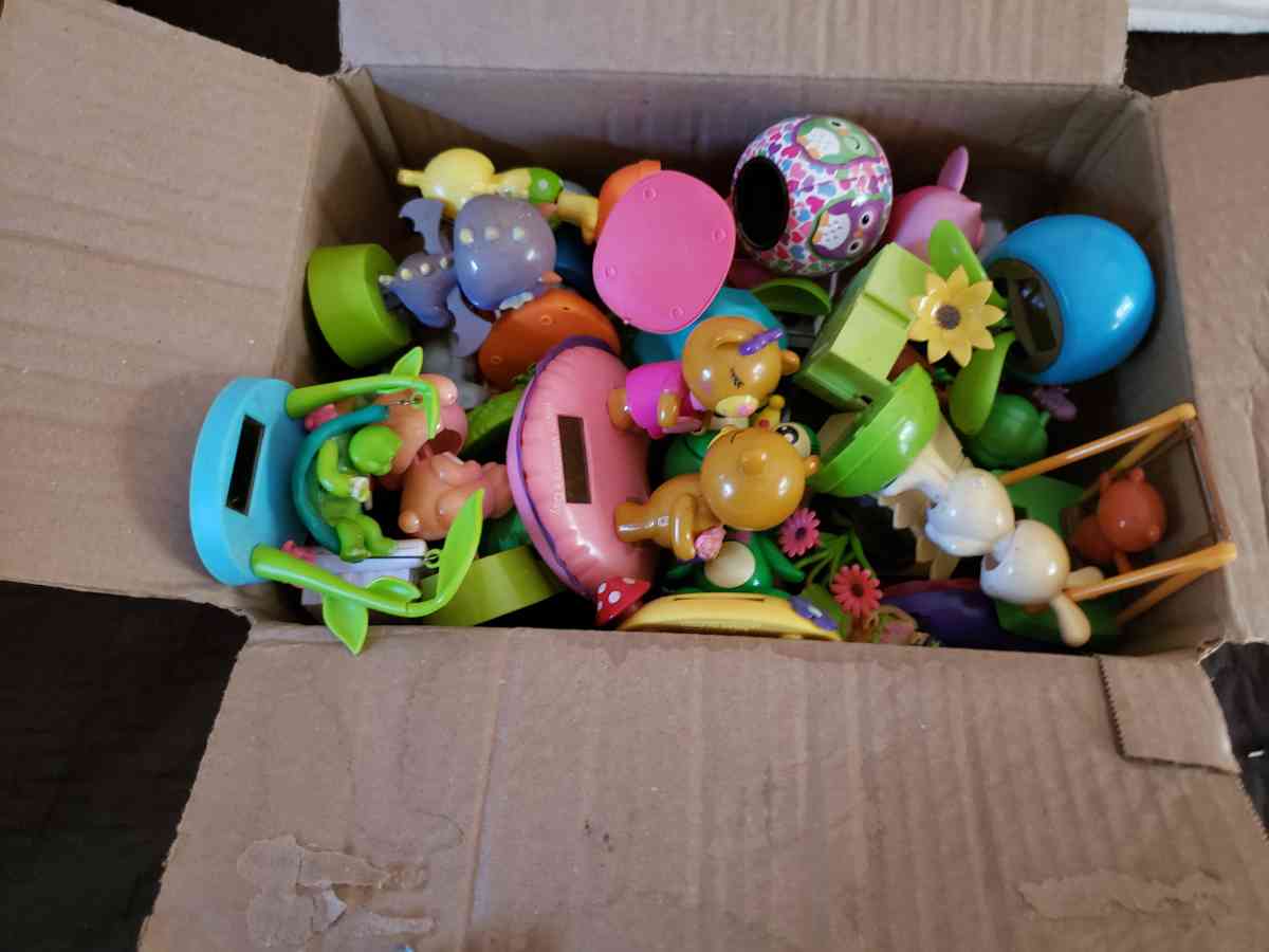 26 solar dancers all types