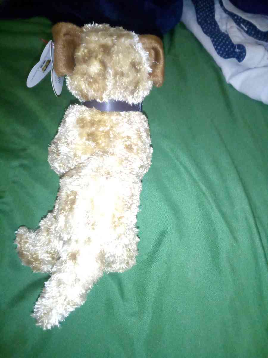 2004 Ty beanie babies Odie mint selling collection off