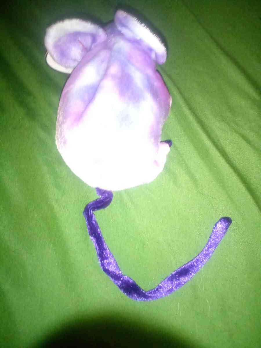 2000 Ty beanie babies zodiac rat mint selling collection off