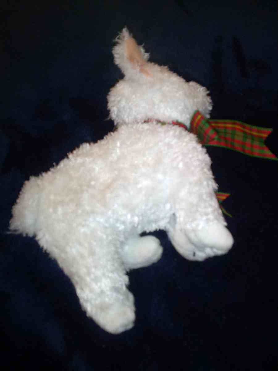 2001 Ty beanie babies Kirby mint selling collection off