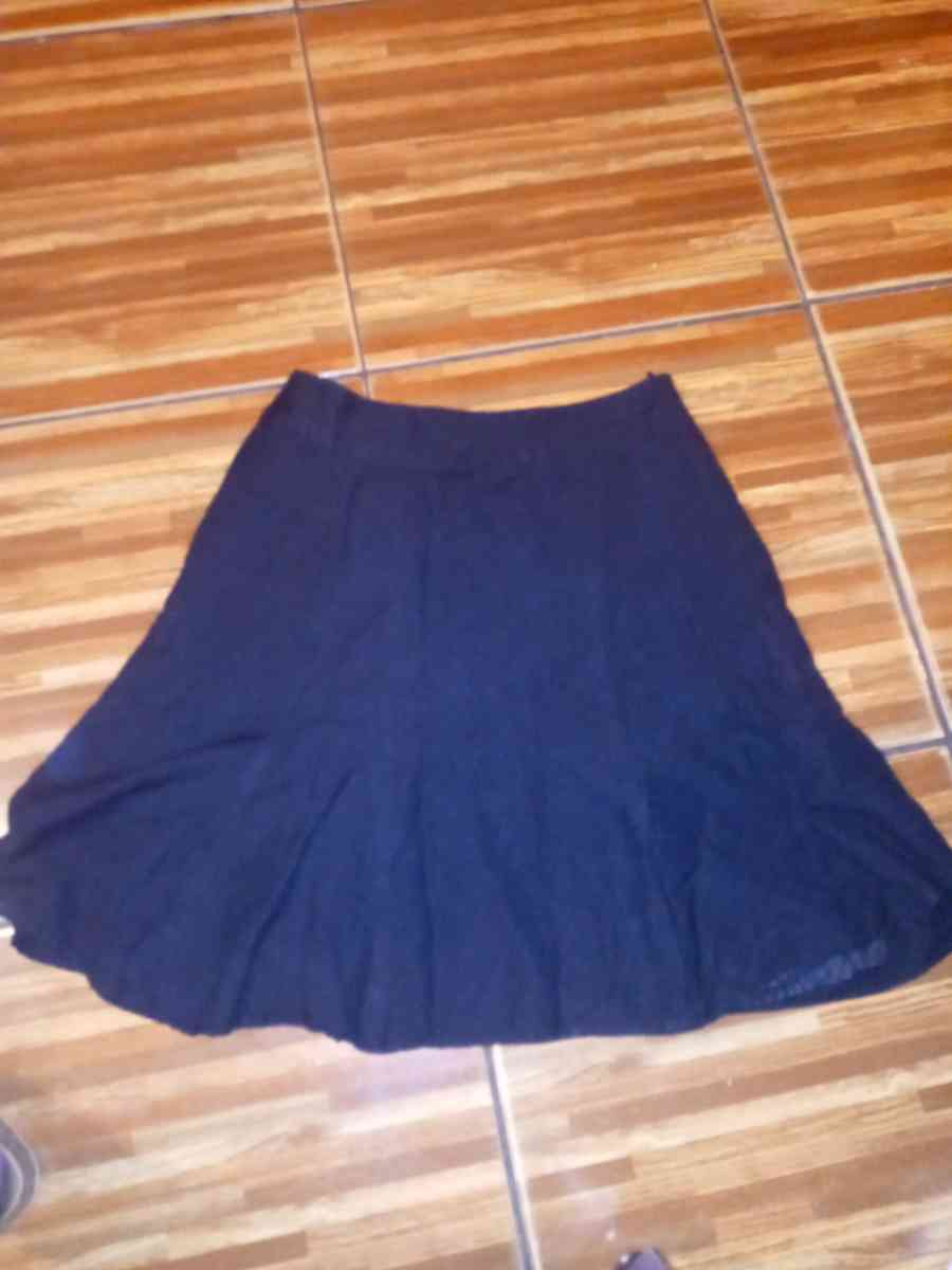 Coldwater Creek Aline skirt