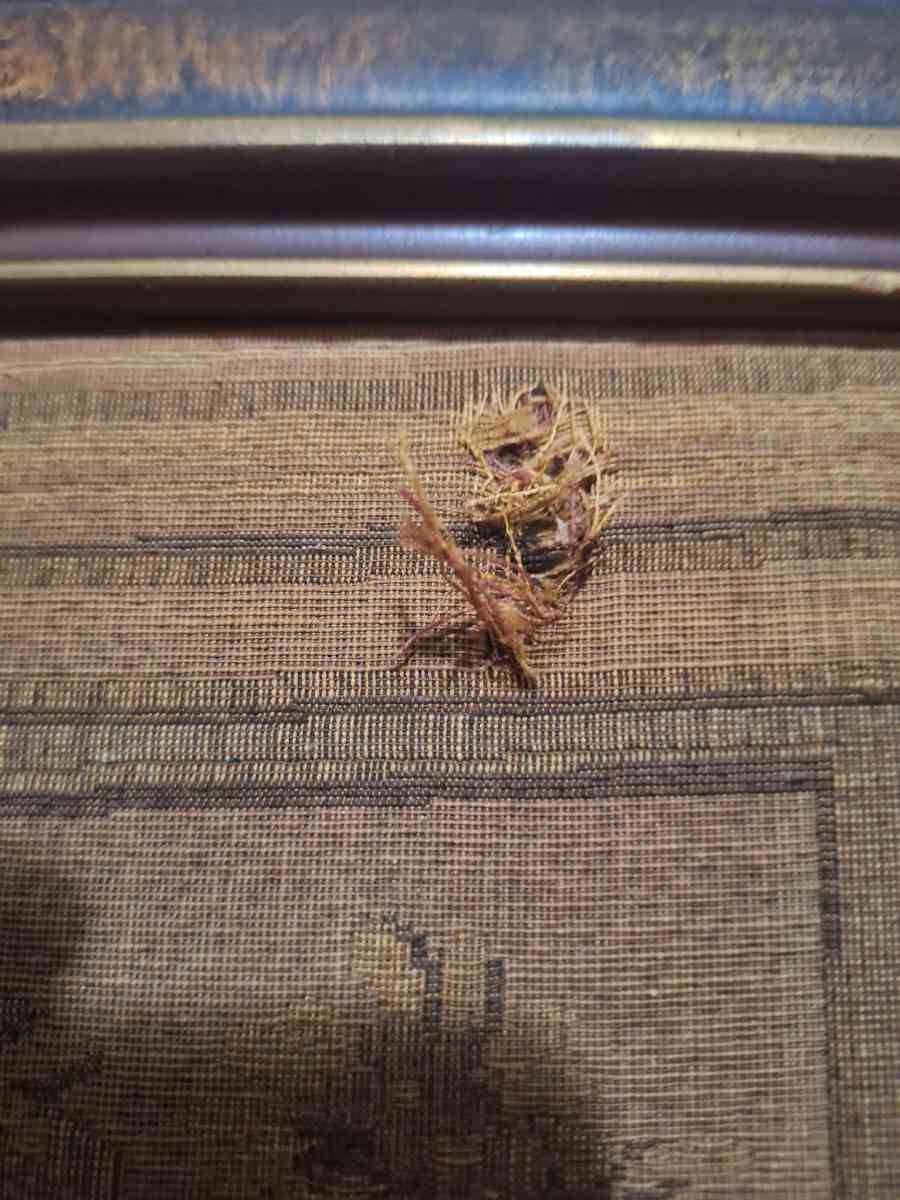 19th Century cloth etching beautiful framed