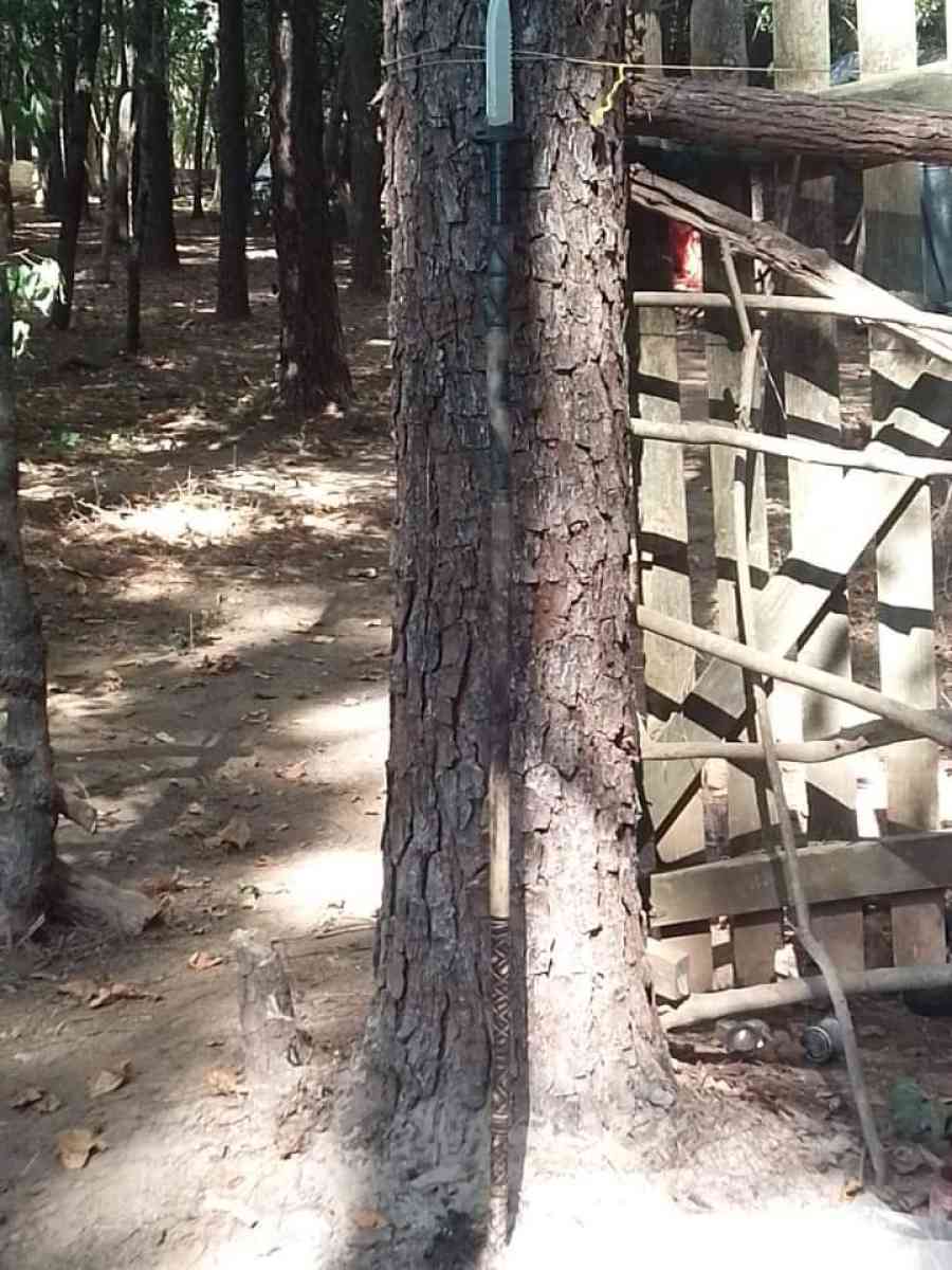 hand crafted wooden walking sticks