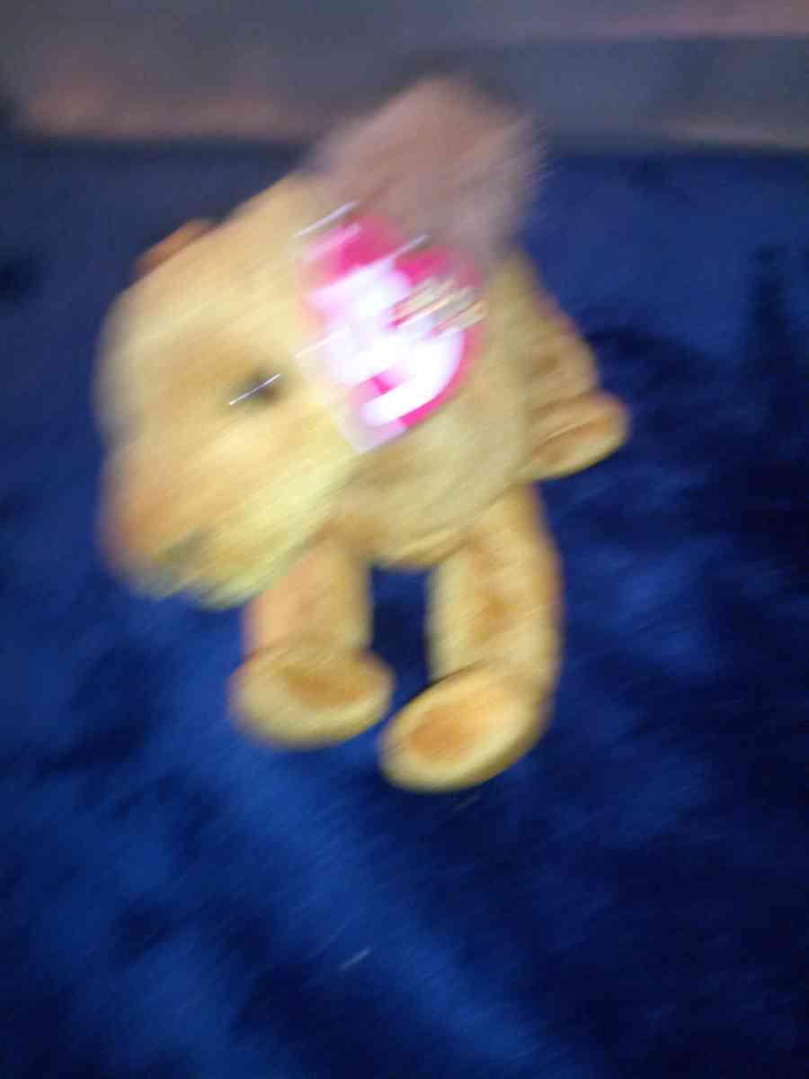 2000 Ty beanie babies Niles mint selling collection off