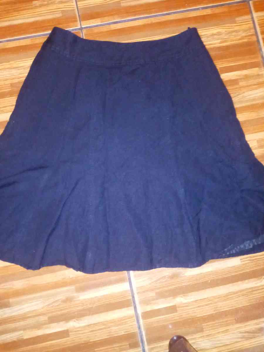 Coldwater Creek Aline skirt