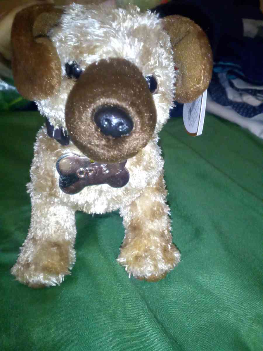 2004 Ty beanie babies Odie mint selling collection off