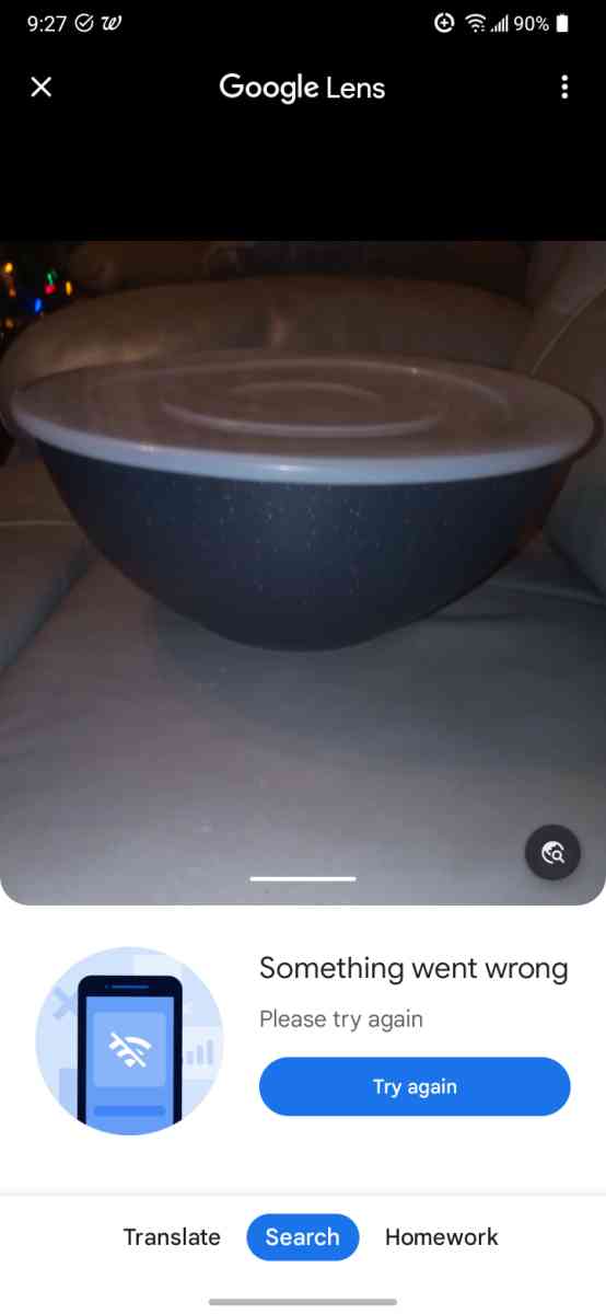 large bowl with secure lid