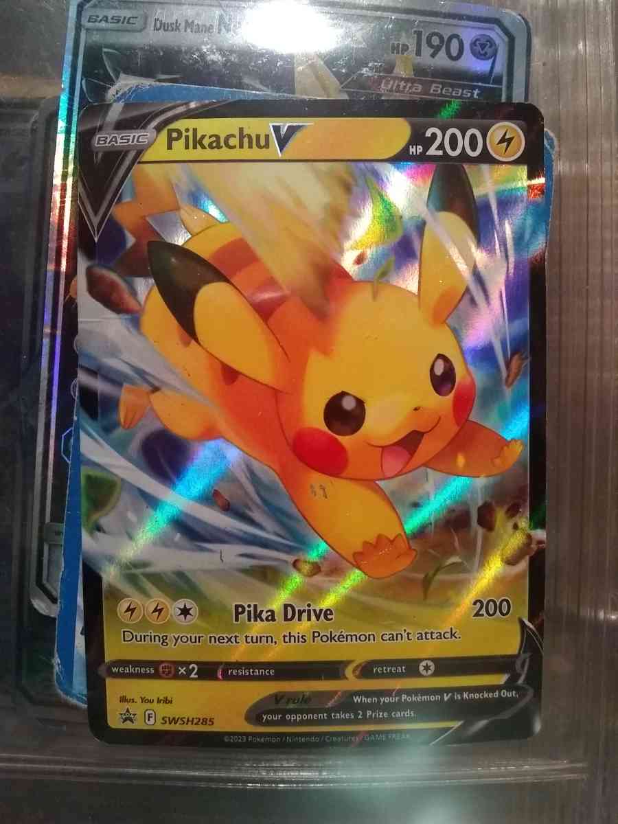 Pikachu Pokemon