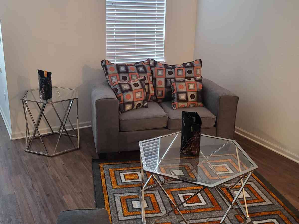 funiture two couches and table