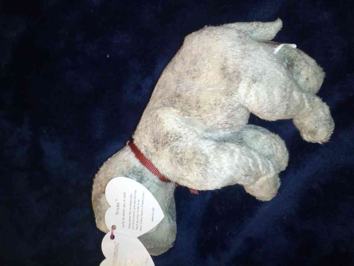 2000 Ty beanie babies Tricks mint selling collection off