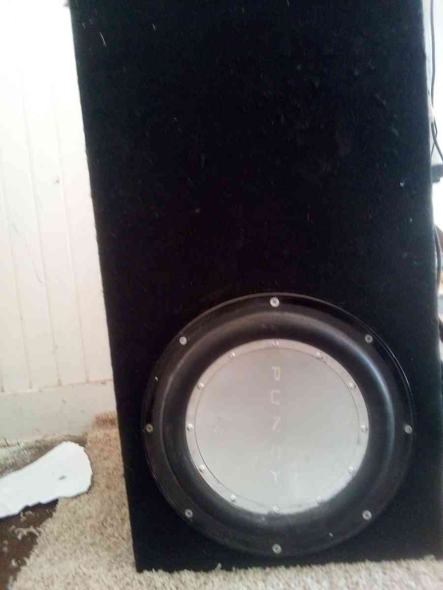 punch woofer speaker