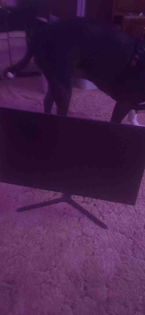 Monitor tradeing for laptop