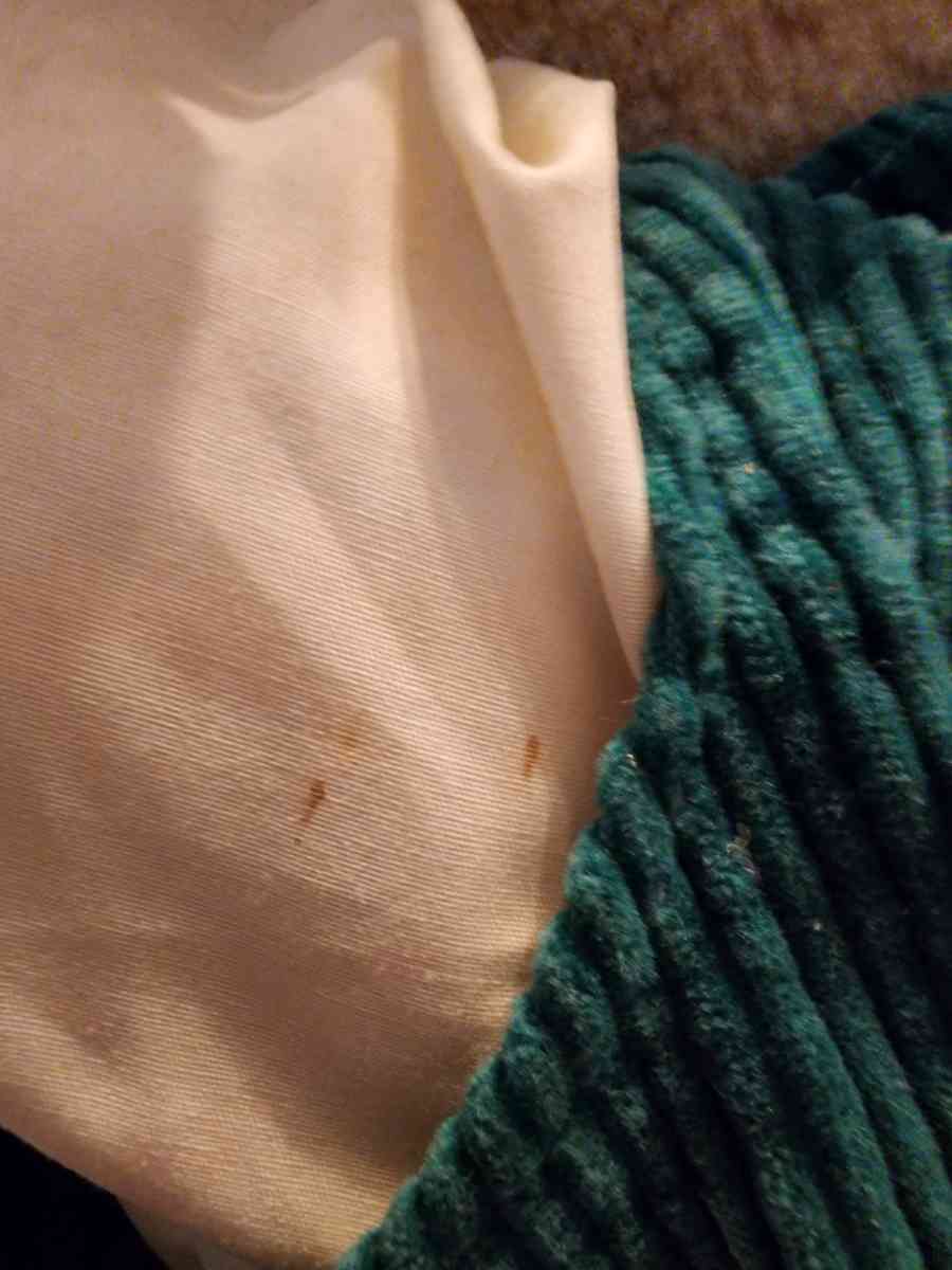 Vintage Animated Mouse