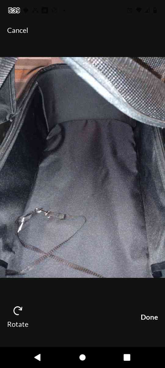 Dog Carseat and stroller combo