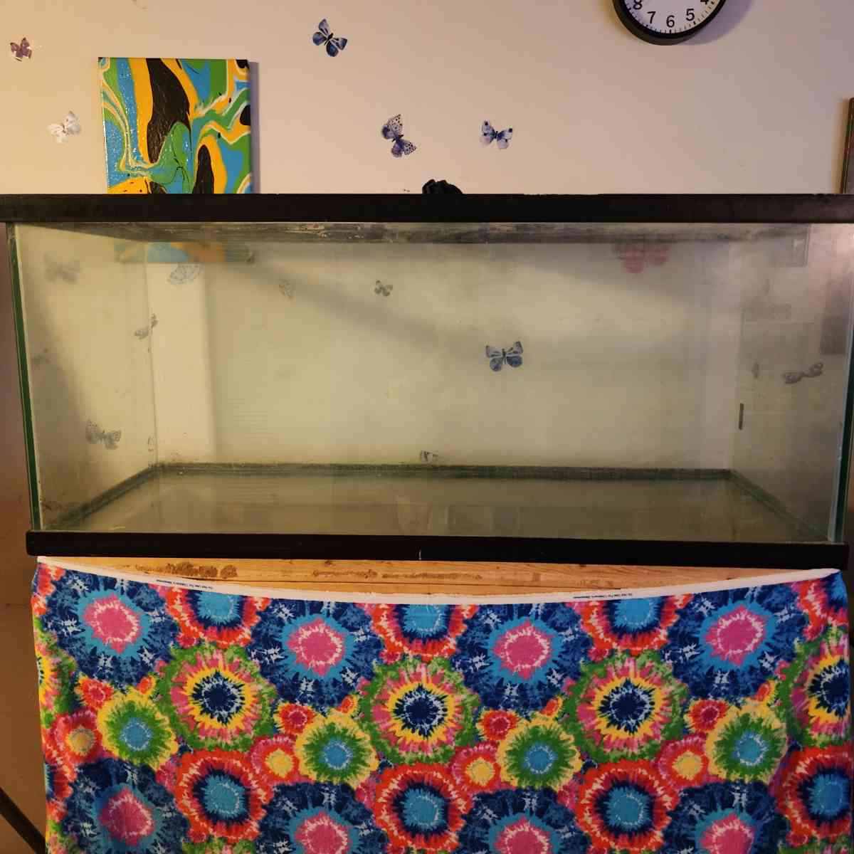 70 gallon Fish Tank