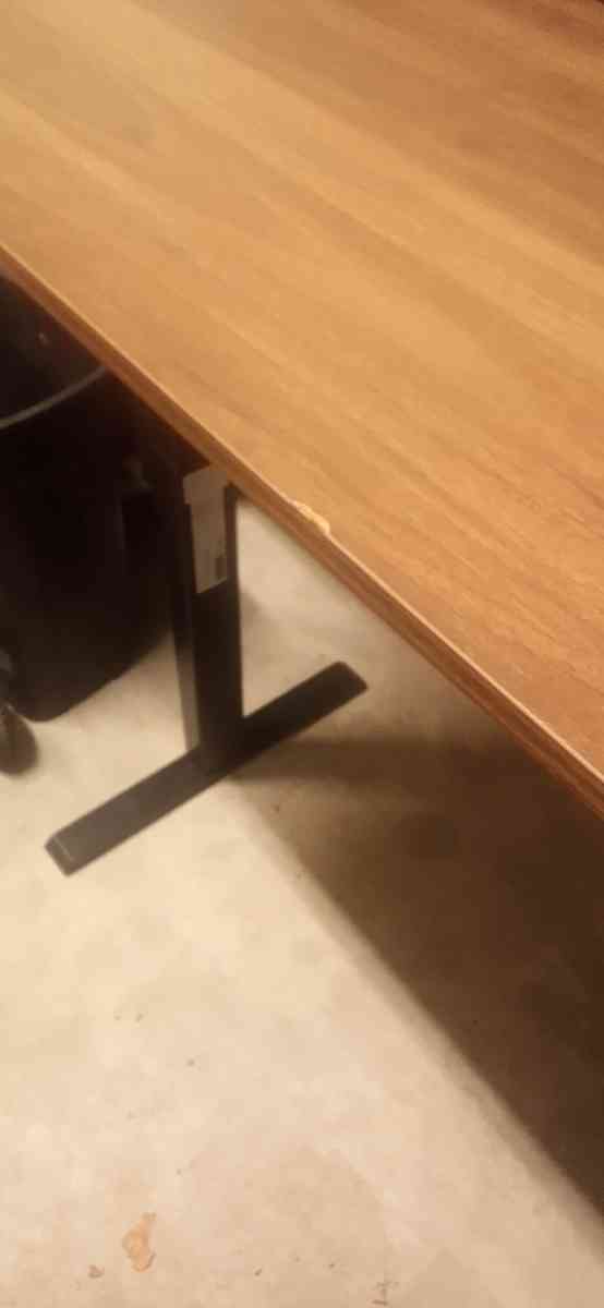 electric standing desk