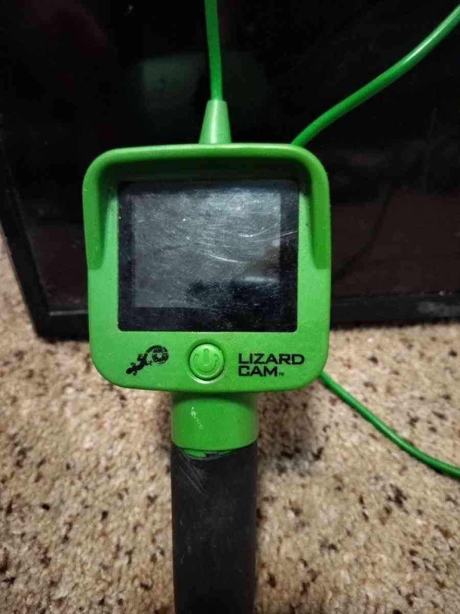 Lizard Cam