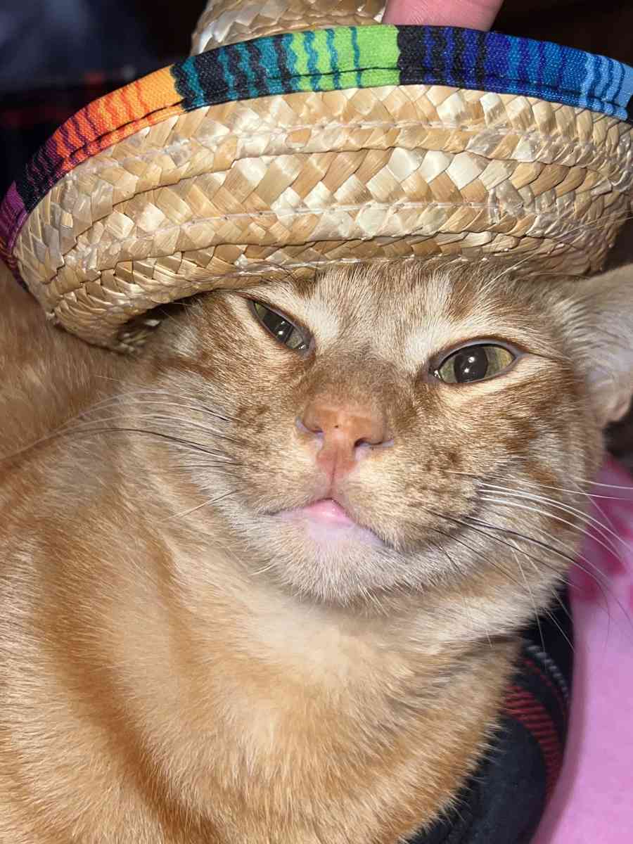 sombrero straw hat for dolls