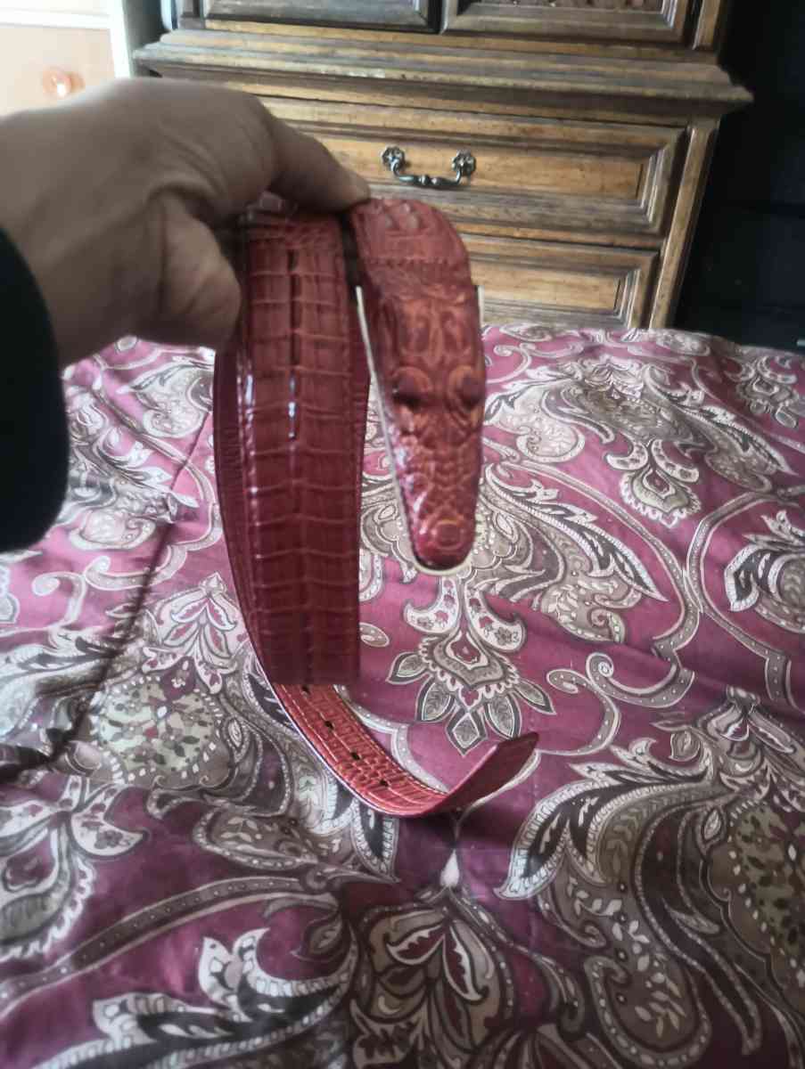 Brown Alligator belt for a man