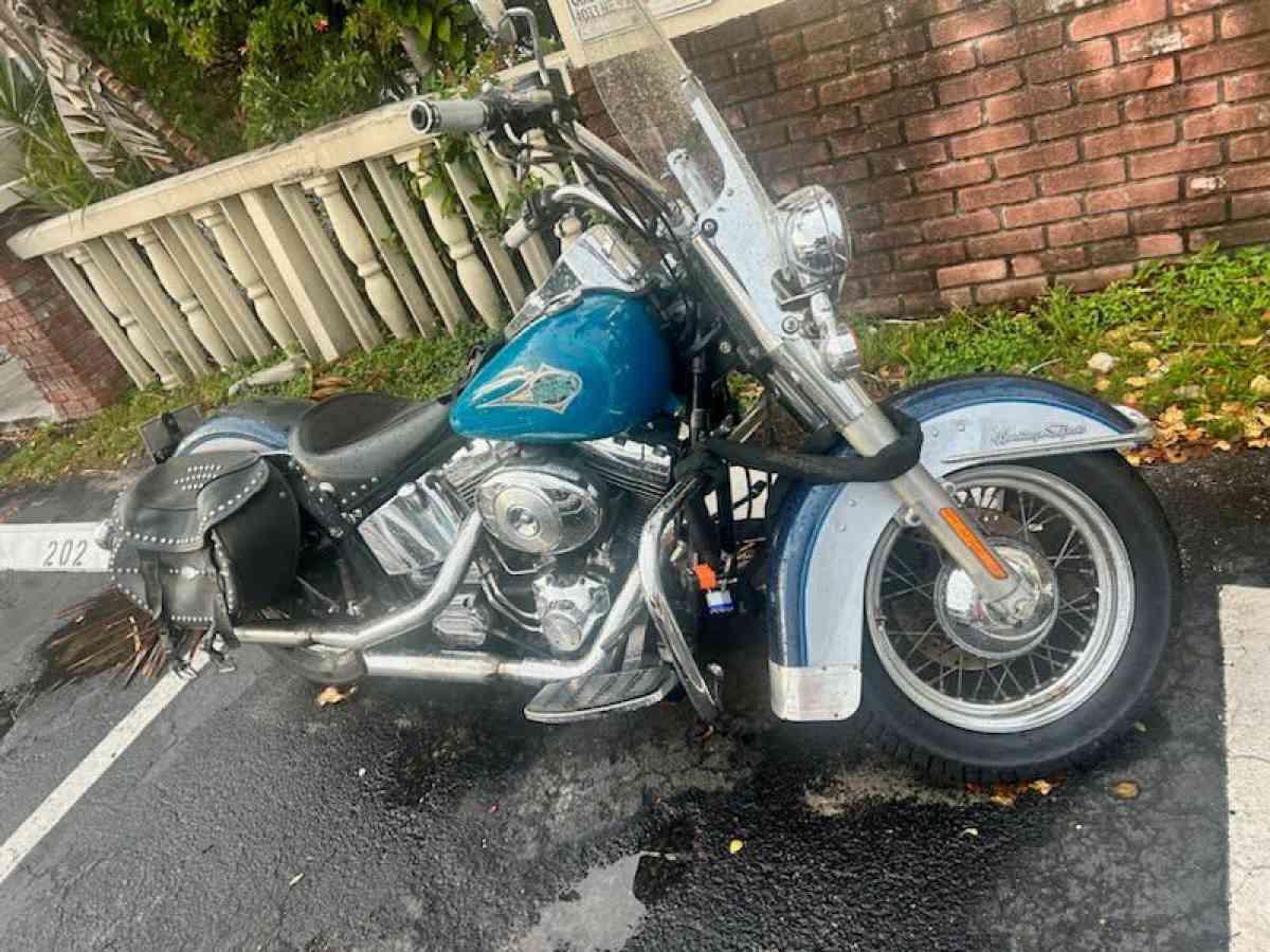 Harley Davidson Softtail